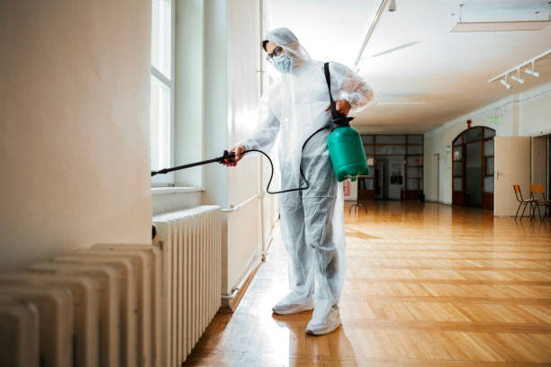 Pest Control for Hotels in Springville, UT